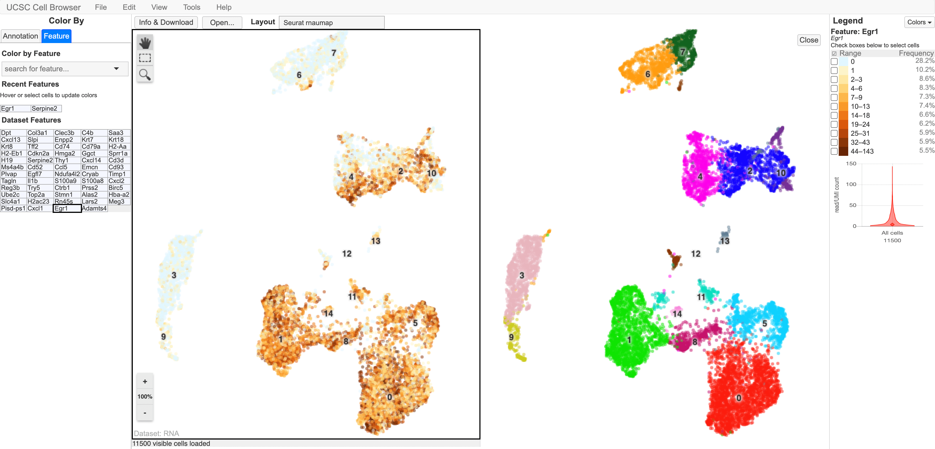 scRNA clustering with Seurat