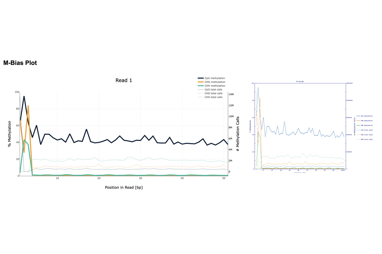 infer methylation state with Bismark methylation caller