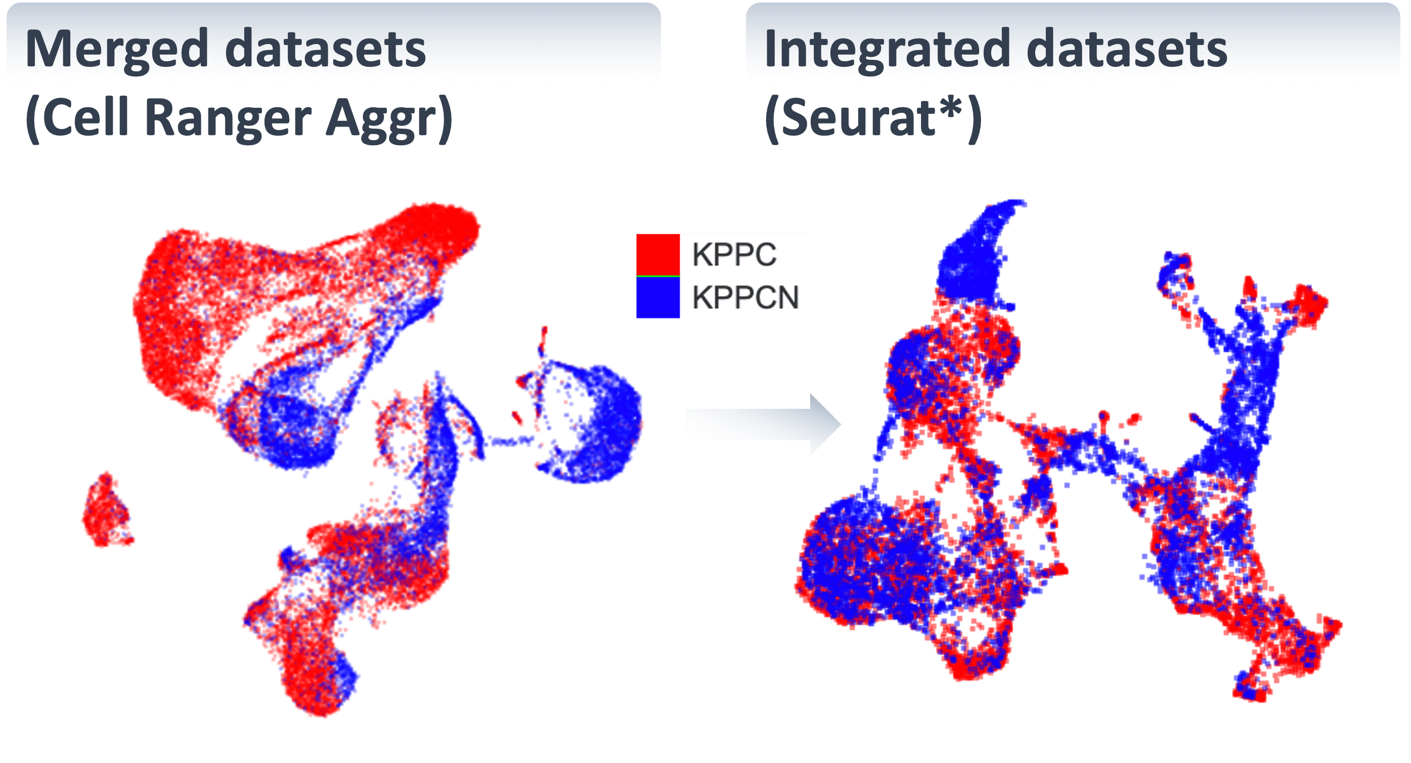 scMultiome Integration