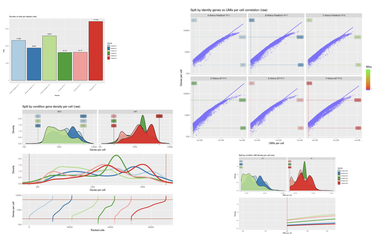 scRNA-Seq filtering