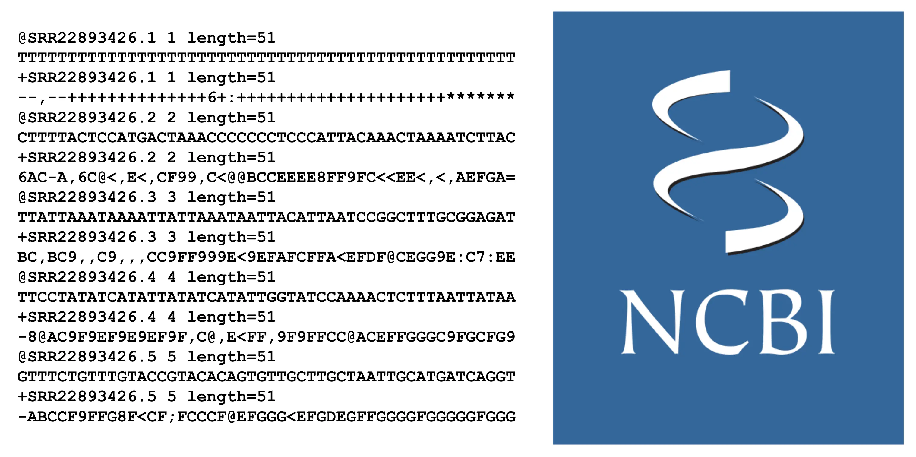 bisulfite-seq fastq or public accession number